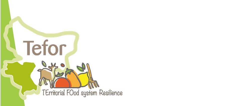 2022-2025 : TEFOR – TErritorial FOod System Resilience